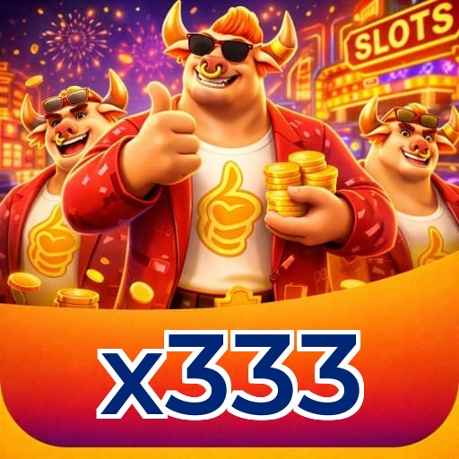 x333