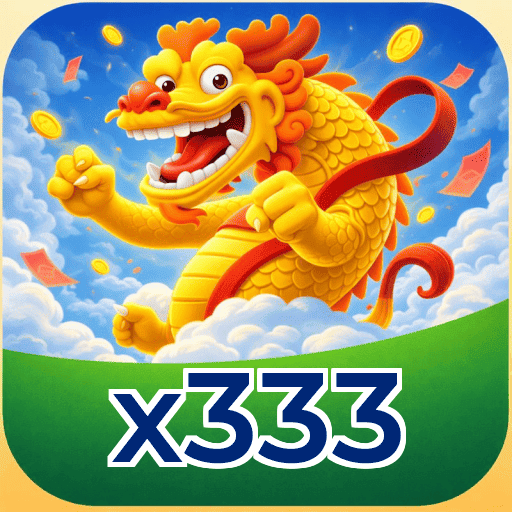 x333