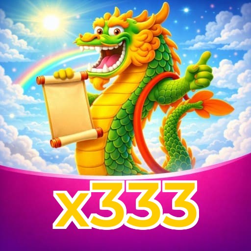 x333