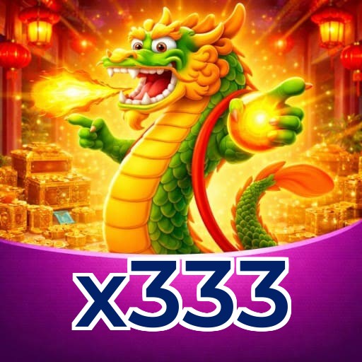 x333