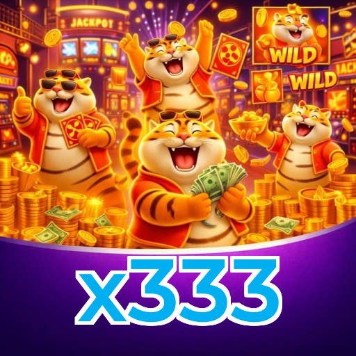 x333