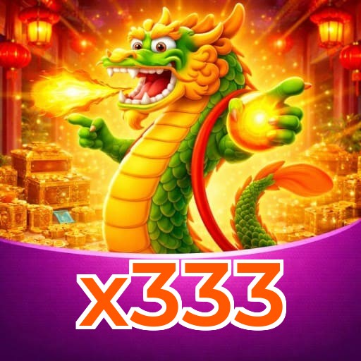 x333
