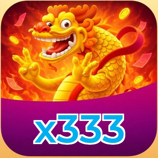 x333