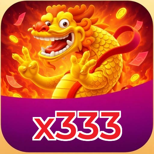 x333